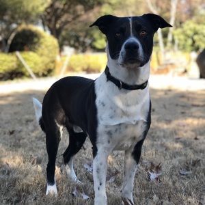 Meet your Posher, Sean